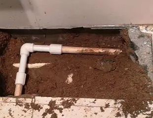 拱墅测漏水哪家好