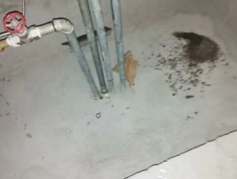 拱墅卫生间测漏水价格明细