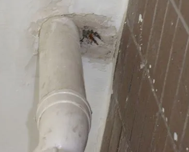 拱墅漏水检测哪家好